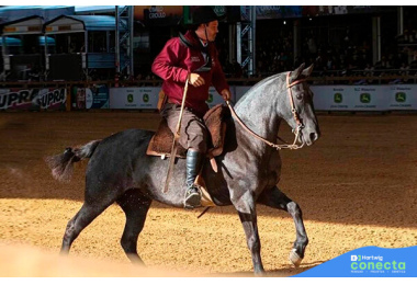 IPIRANGA DA GAP SÃO - (EMBRIÃO)
