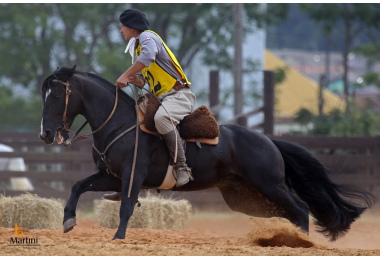 AMARGO DOS CASTANHEIROS