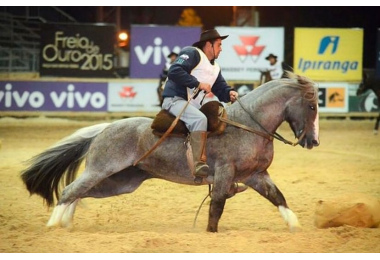 QUINCHERO DE SANTA ANGÉLICA