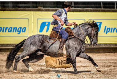 LOS HERMANOS CIMARRON