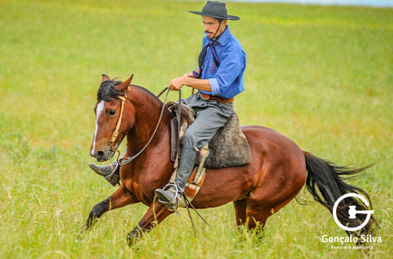 TRÊS TAIPAS ARTE CAMPEIRA