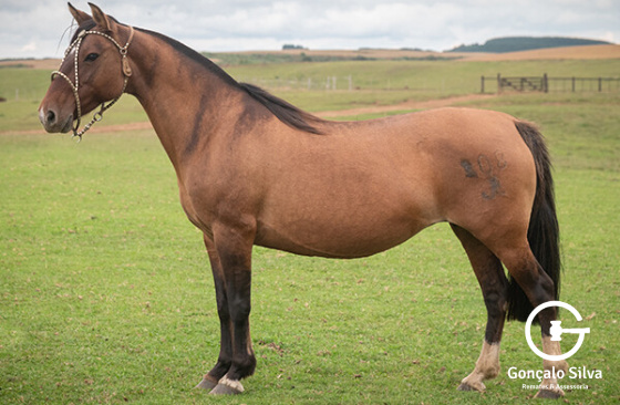 ULBRA II DA BOA VISTA 