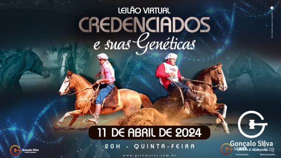 ENTREVISTA TOMAZ GONÇALVES
