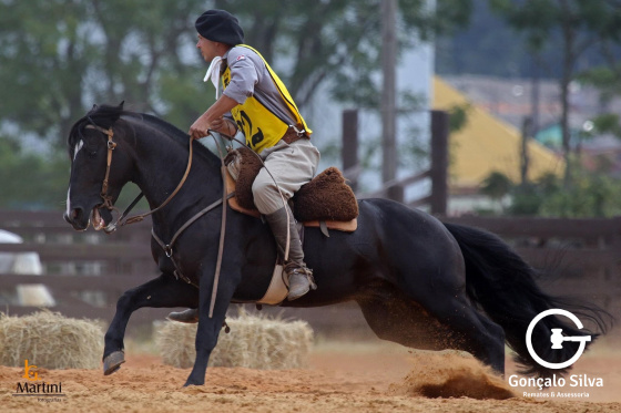 AMARGO DOS CASTANHEIROS