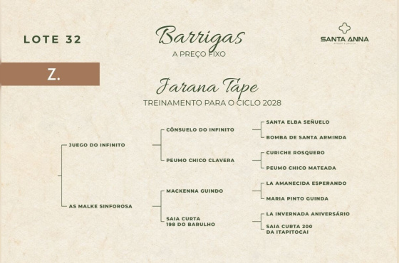 JARANA TAPE