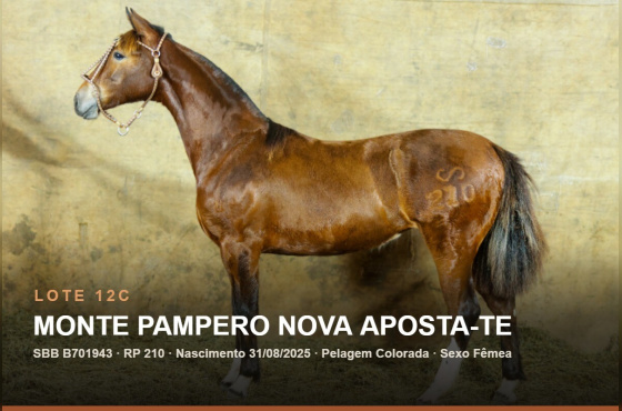 MONTE PAMPERO NOVA APOSTA-TE - (Venda vertical)
