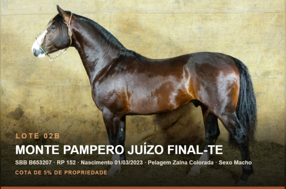 MONTE PAMPERO JUÍZO FINAL-TE (Venda vertical cota de 5%)
