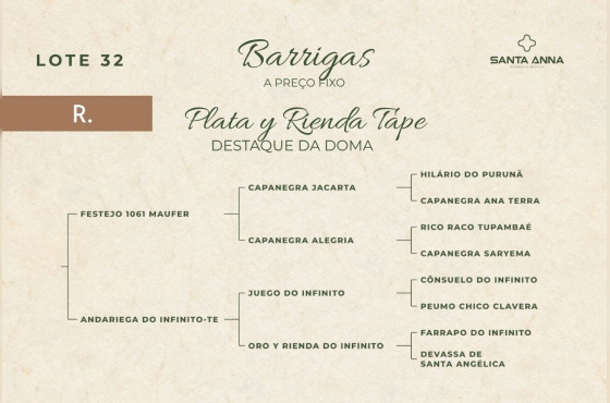 PALTA Y RIENDA TAPE