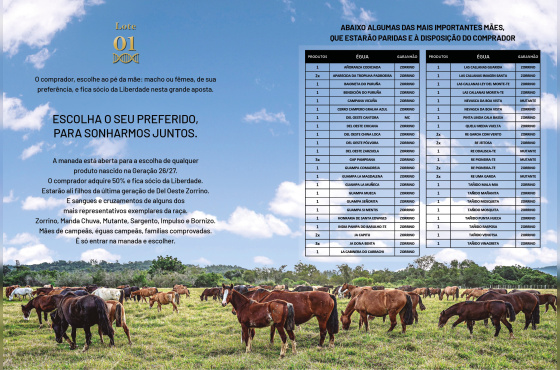 GERAÇÃO 26/27