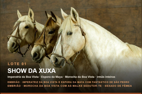 SHOW DA XUXA - Venda vertical (Prenhez)