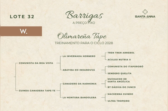 OLIMAREÑA TAPE