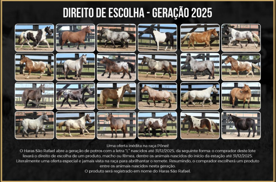 DIREITO DE ESCOLHA - GERAÇÃO 2025
