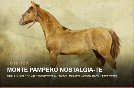 MONTE PAMPERO NOSTALGIA-TE - (Venda de 50% vertical)