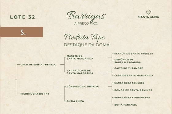 PIEDRITA TAPE