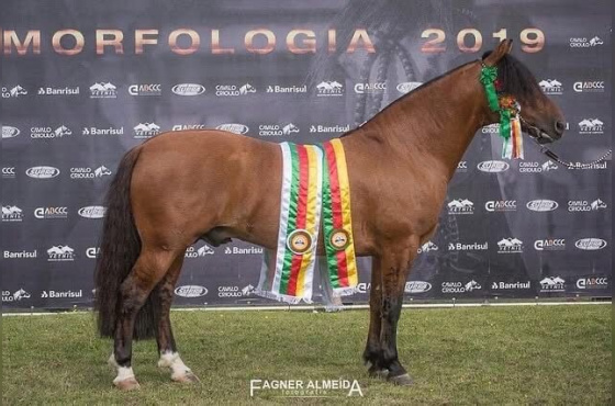COBERTURA - MANO A MANO DO RAUNA 