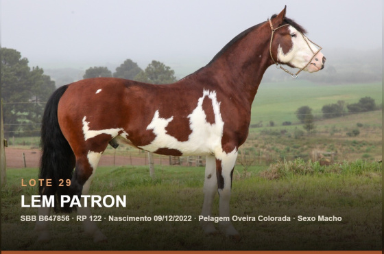 LEM PATRON