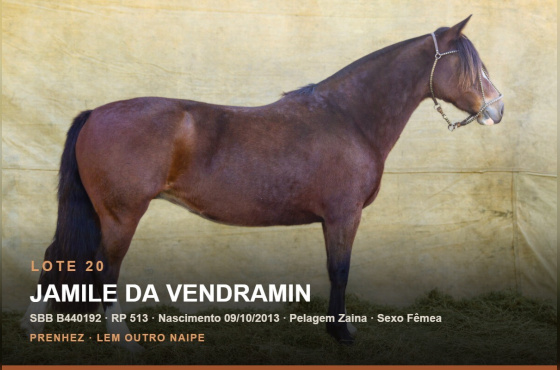 JAMILE DA VENDRAMIN