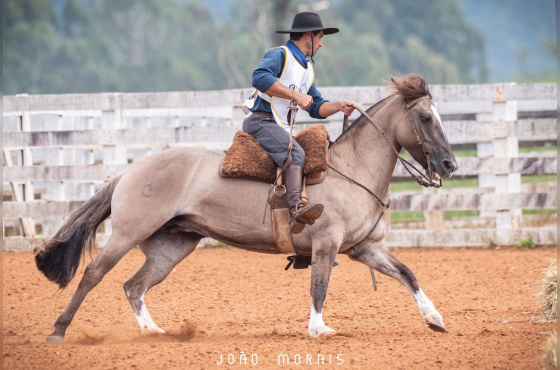 ÉGUA CRAQUE DE PALETEADA