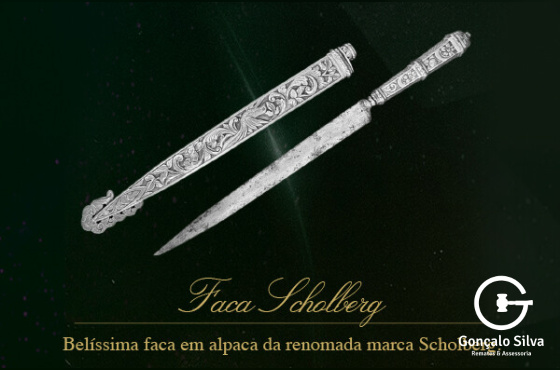 FACA SCHOLBERG