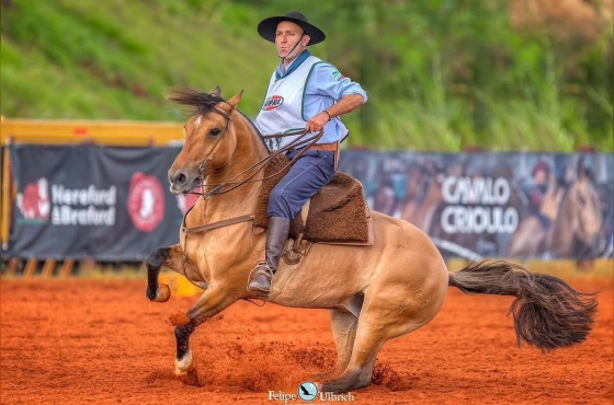 REVOADA MAPOCHO