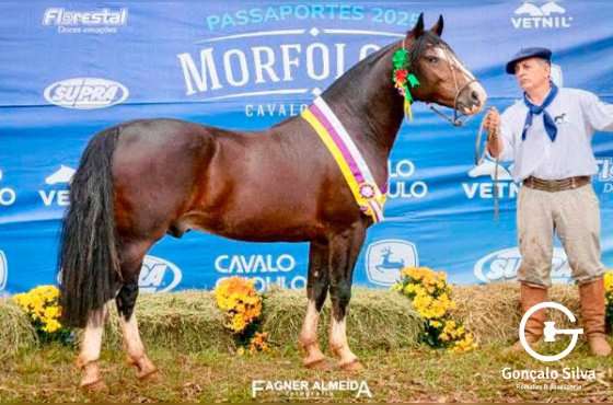 BASCO JERONIMO