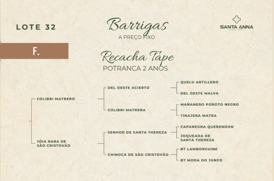 RECACHA TAPE