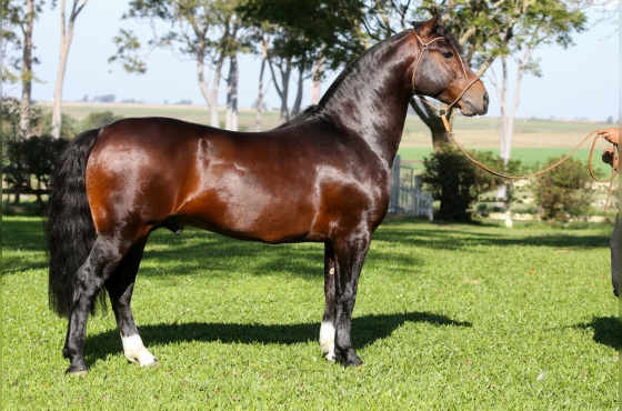 AS MALKE HECHO A MANO 