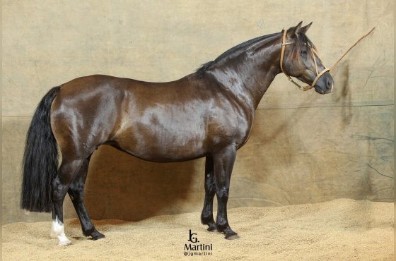 HAY TORMENTA DA RECORRIDA 