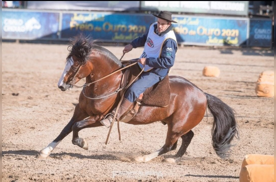 BAILONGO DE SANTA ANGELICA 
