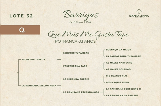 QUE MÁS ME GUSTA TAPE