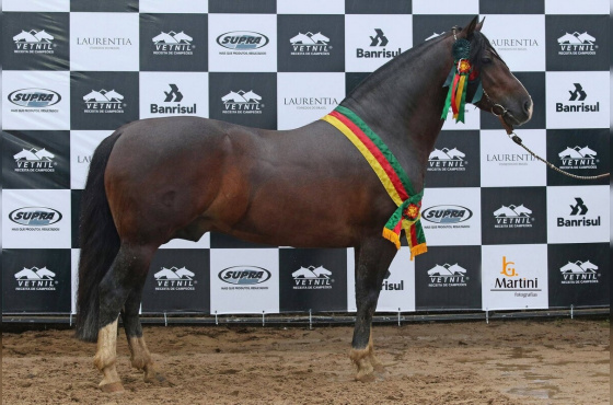 ESQUIVADO CALA BASSA