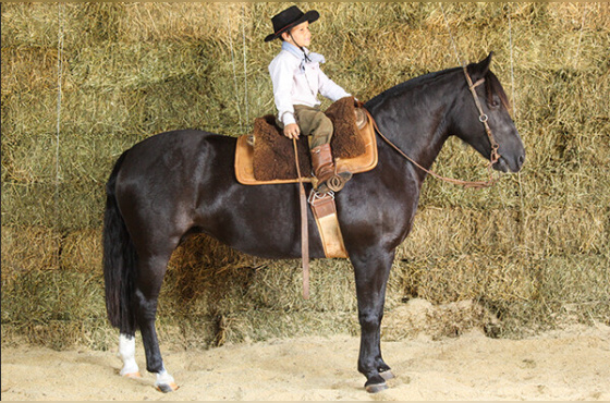 HABILIDOSA DO TABOÃO 