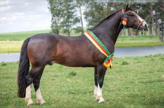 SÃO XAVIER HURACAN 