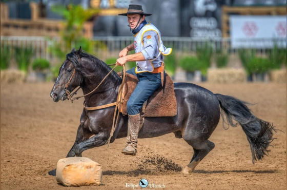 COBERTURAS CAMPANA ECHO A MANO