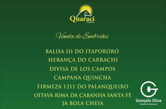EMBRIÕES - VENDA DE 1 EMBRIÃO ( NA ESCOLHA )