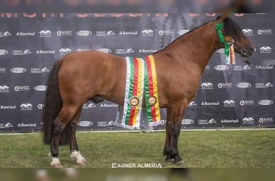 MANO A MANO DO RAUNA