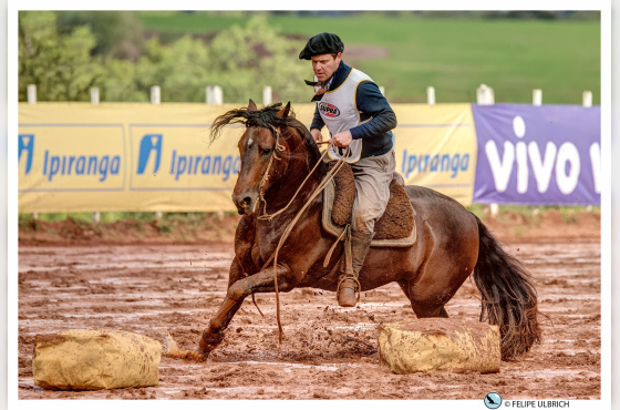 JA IMPECÁVEL - COTA DE 17,5%