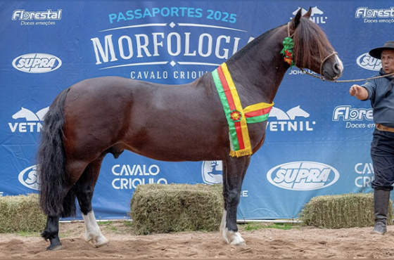 Santo Pago Charrua