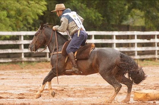 LAB JORNALERO - VENDA VERTICAL