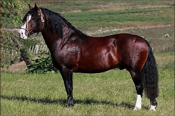 ALTO ASTRAL DE SANTA EDWIGES