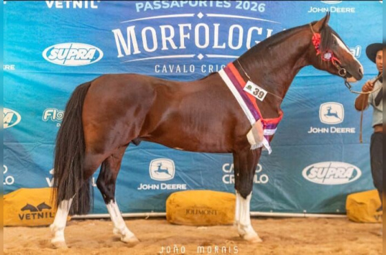 COBERTURAS PONS JAGUARI 