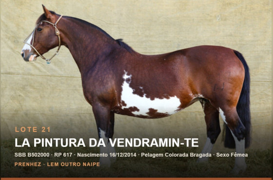 LA PINTURA DA VENDRAMIN-TE