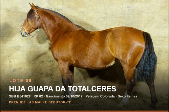 HIJA GUAPA DA TOTALCERES