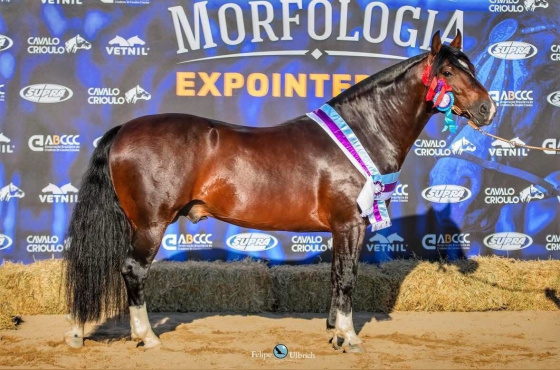 COBERTURA - JALISCO DA GAP SAO PEDRO