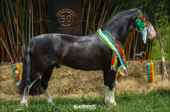 QUATRILHO  DA CABANHA  SANTA FÉ - COTA DE 5%