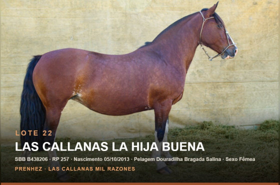 LAS CALLANAS LA HIJA BUENA