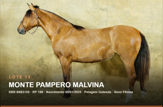 MONTE PAMPERO MALVINA