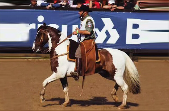 DIREITO DE USO 3 COBERTURAS EXPRESSO DO ELEBÊ