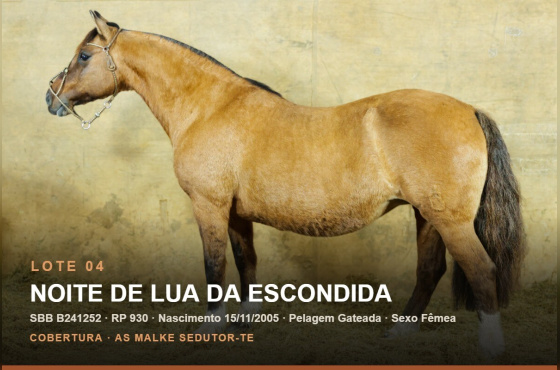 NOITE DE LUA DE ESCONDIDA