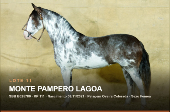 MONTE PAMPERO LAGOA